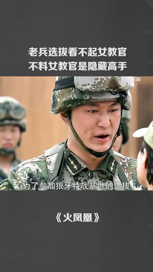 4449999火凤凰论坛高手论坛|专业分析解释落实_YE版.8.706