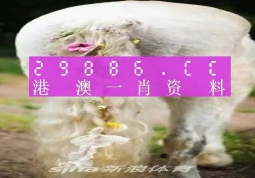 新澳门彩2024四不像图片|统计数据解释落实_粉丝版1.261